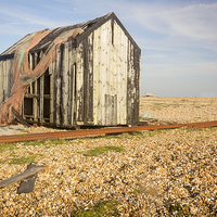 Buy canvas prints of Netted Shack by Steve Smith