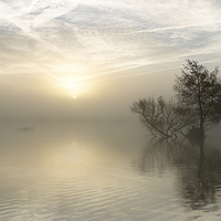 Buy canvas prints of  A Winters Morning by Paul Bate