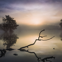 Buy canvas prints of  Tranquillity  by Paul Bate