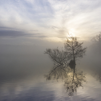 Buy canvas prints of Winters Reflections by Paul Bate