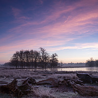 Buy canvas prints of Frosty Morning by Paul Bate