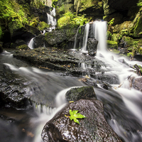 Buy canvas prints of  Lumsdale Waterfall by Phil Sproson