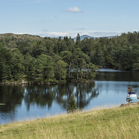 Buy canvas prints of  Peaceful Tarn Hows, Lake District by Phil Sproson