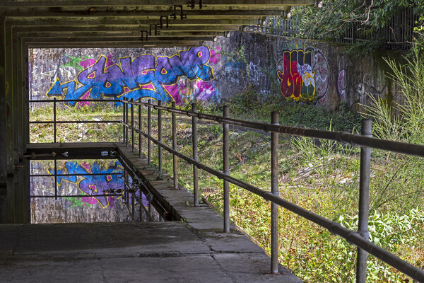 St. Peter's Seminary, Cardross. Picture Board by Rich Fotografi 