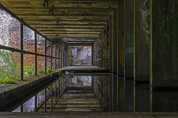 St Peter's Seminary, Cardross. Picture Board by Rich Fotografi 