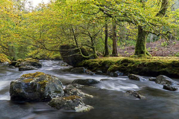 Croe Water, Argyll Picture Board by Rich Fotografi 