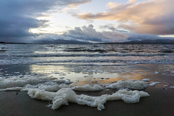 Sea Foam at Ganavan Sands Picture Board by Rich Fotografi 