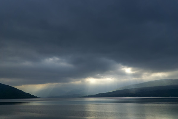 Sun Rays on Loch Fyne Picture Board by Rich Fotografi 