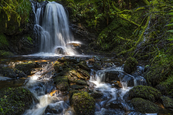 The Secret Waterfall Picture Board by Rich Fotografi 