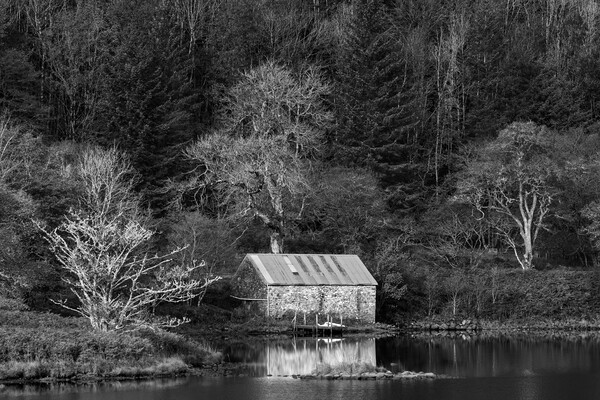 Autumn at the Boathouse at Dubh Loch Picture Board by Rich Fotografi 