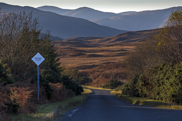 Single Track Road, Isle of Mull Picture Board by Rich Fotografi 