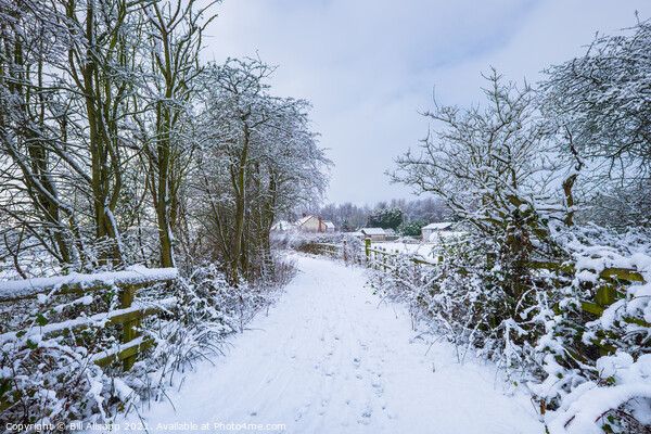 Winter walk. Picture Board by Bill Allsopp