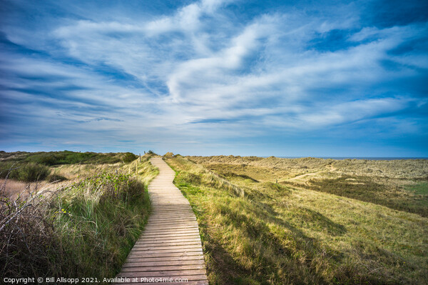Path to the sea. Picture Board by Bill Allsopp