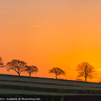 Buy canvas prints of Sunrise in Charnwood. by Bill Allsopp