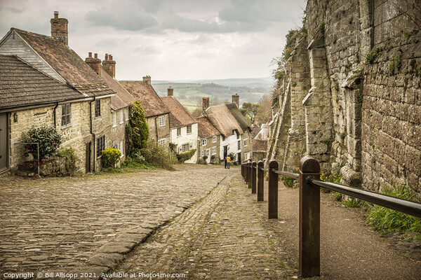 Gold Hill Shaftesbury Picture Board by Bill Allsopp
