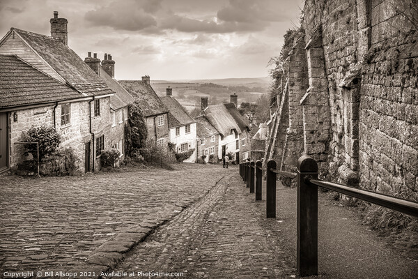 Gold Hill Shaftesbury. Picture Board by Bill Allsopp