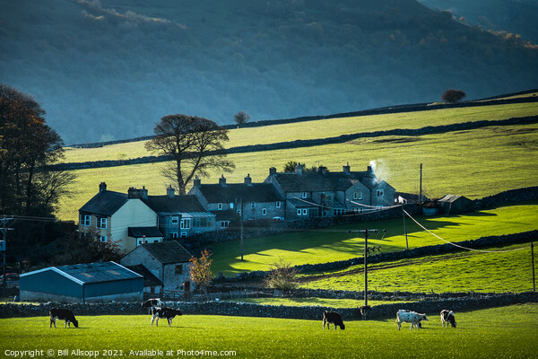 Peak District Cottages. Picture Board by Bill Allsopp