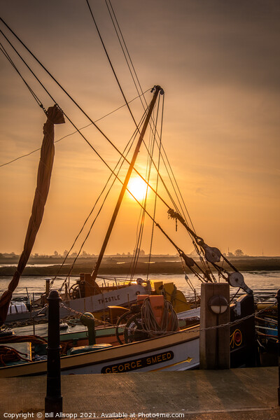 Barge sunrise. Picture Board by Bill Allsopp