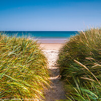 Buy canvas prints of Path to the beach. by Bill Allsopp