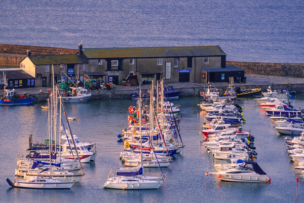 Yachts at Lyme. Picture Board by Bill Allsopp