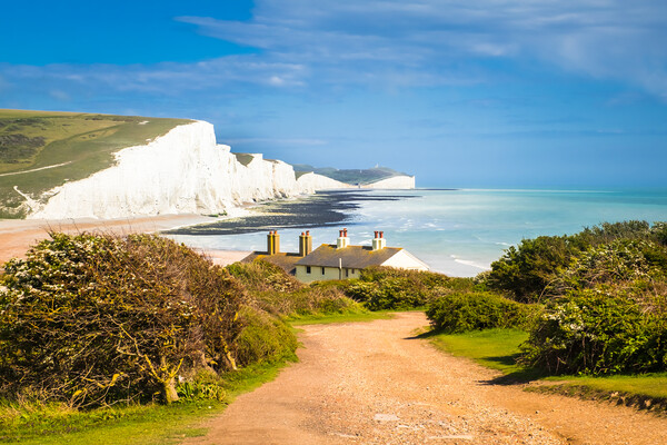 View of the Seven Sisters. Picture Board by Bill Allsopp