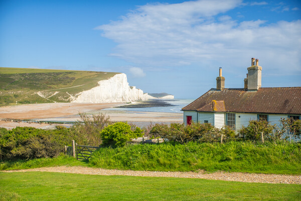 The Coastguard Cottages and the Seven Sisters. Picture Board by Bill Allsopp