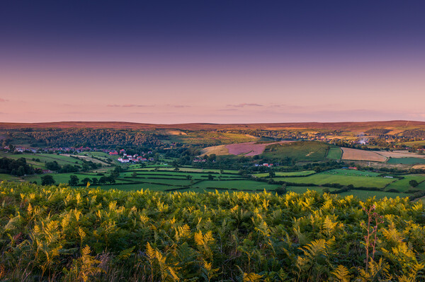 View of Rosedale in Yorkshire Picture Board by Bill Allsopp
