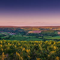 Buy canvas prints of View of Rosedale in Yorkshire by Bill Allsopp