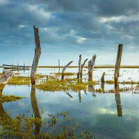 Buy canvas prints of High tide at the coal barn tide at the stumps. by Bill Allsopp