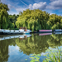 Buy canvas prints of Under the willows. by Bill Allsopp