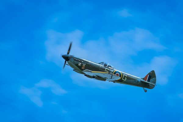 Spitfire of 131 Polish Wing. Picture Board by Bill Allsopp