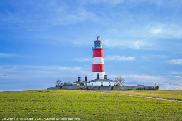 Happisburgh Lighthouse Picture Board by Bill Allsopp