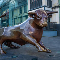 Buy canvas prints of Birmingham's iconic bull. by Bill Allsopp