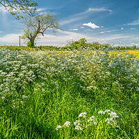 Buy canvas prints of Rural Leicestershire by Bill Allsopp
