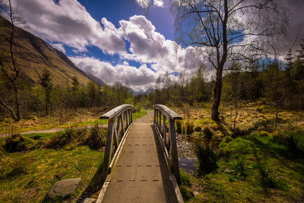 Footbridge on a path in the Ben Nevis Range. Picture Board by Bill Allsopp