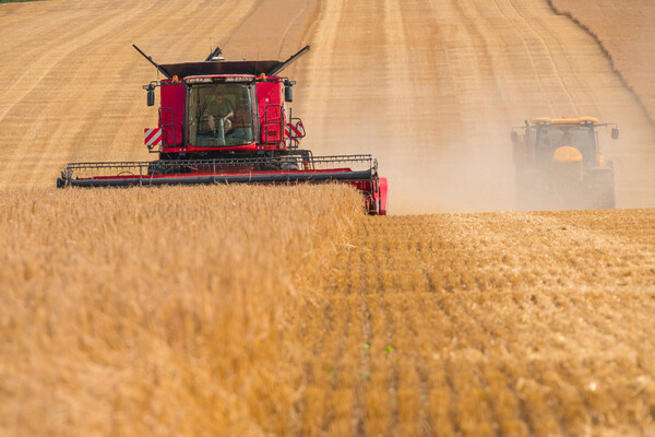 Bringing in the crop. Picture Board by Bill Allsopp