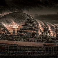 Buy canvas prints of The Sage. by Bill Allsopp