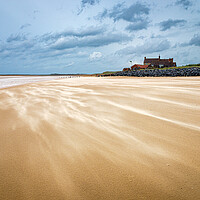 Buy canvas prints of Where the wind blows. by Bill Allsopp