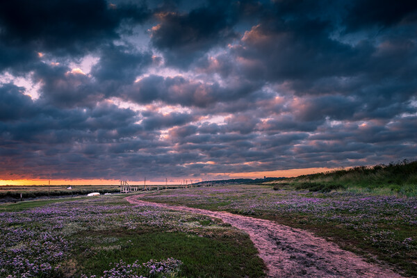 Marsh sunrise at Morston. Picture Board by Bill Allsopp