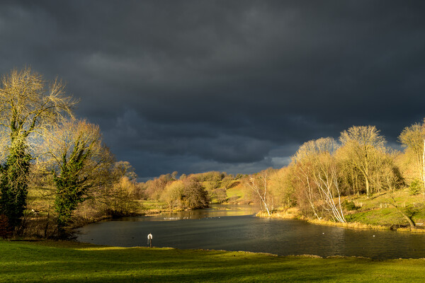 Storm clouds over the fish pond #2 Picture Board by Bill Allsopp