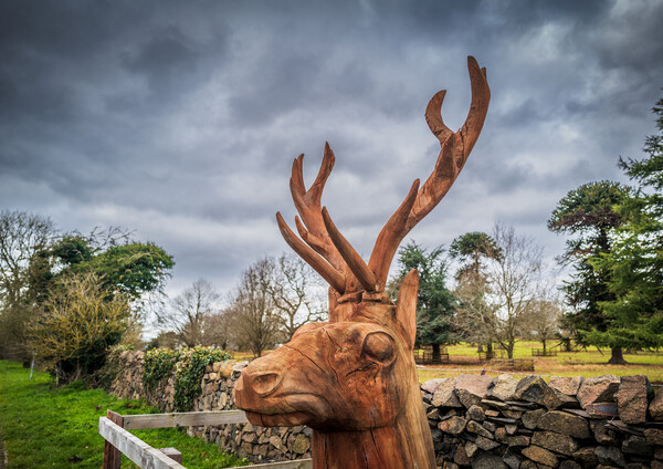 Red Deer Sculpture in Charnwood Forest Picture Board by Bill Allsopp