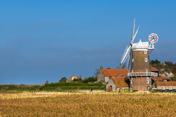 Cley Mill and marshes. Picture Board by Bill Allsopp