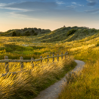 Buy canvas prints of Talacre path by Bill Allsopp