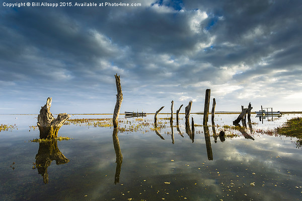 Thornham Stumps. Picture Board by Bill Allsopp