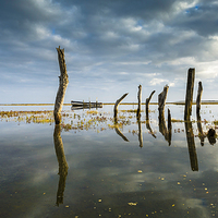 Buy canvas prints of Thornham Stumps in Norfolk at high tide. by Bill Allsopp