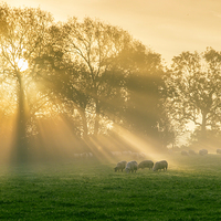 Buy canvas prints of A new day's rays #1 by Bill Allsopp