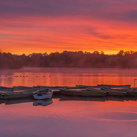 Buy canvas prints of Sunrise at Thornton reservoir in Leicestershire. by Bill Allsopp