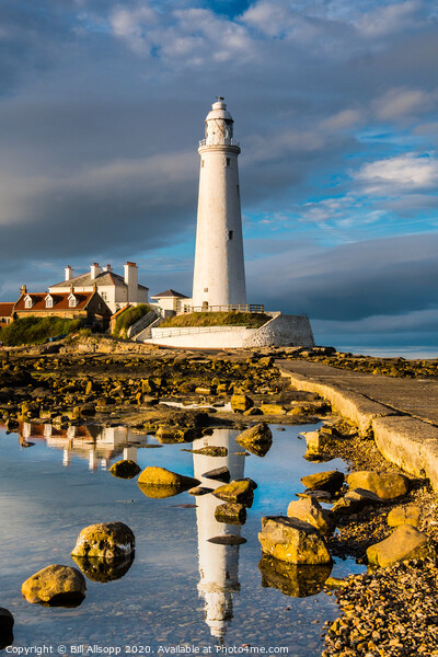 St. Marys lighthouse. Picture Board by Bill Allsopp