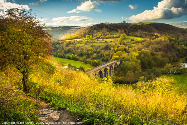 Monsal Dale and the Headstone Viaduct. Picture Board by Bill Allsopp
