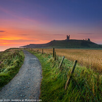 Buy canvas prints of The Path to Dunstanburgh by Bill Allsopp